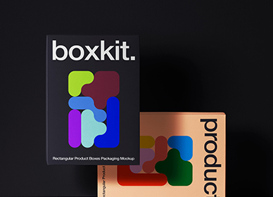 Boxkit Branding Project